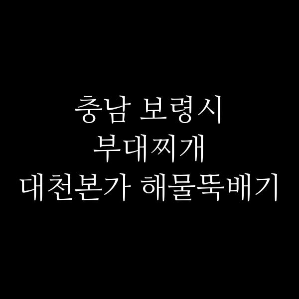 요약 정보 이미지