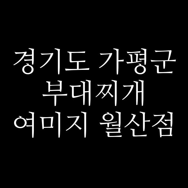 요약 정보 이미지
