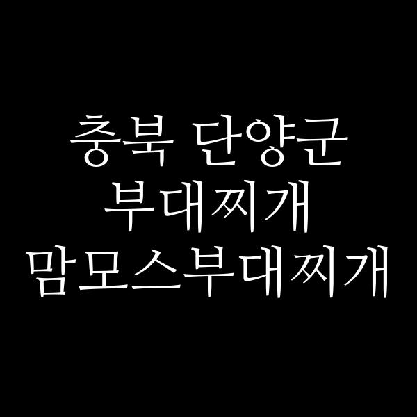 요약 정보 이미지