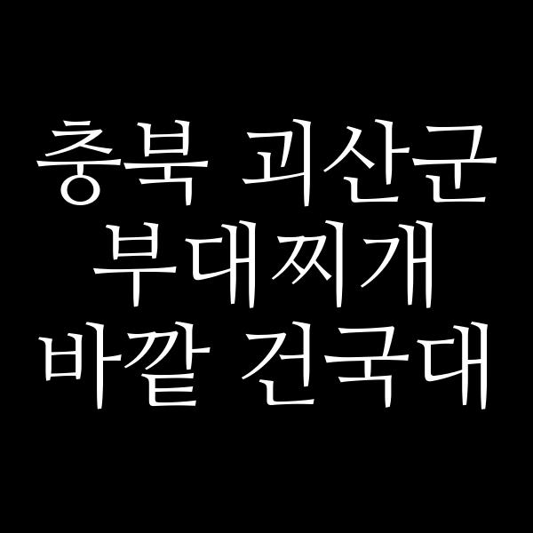 요약 정보 이미지
