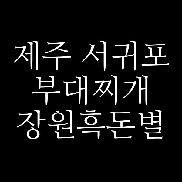 요약 정보 이미지
