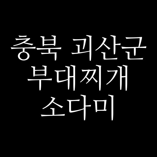 요약 정보 이미지