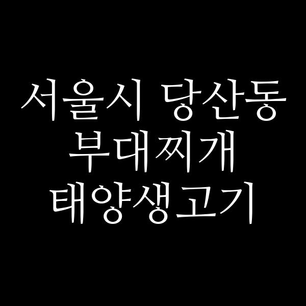 요약 정보 이미지