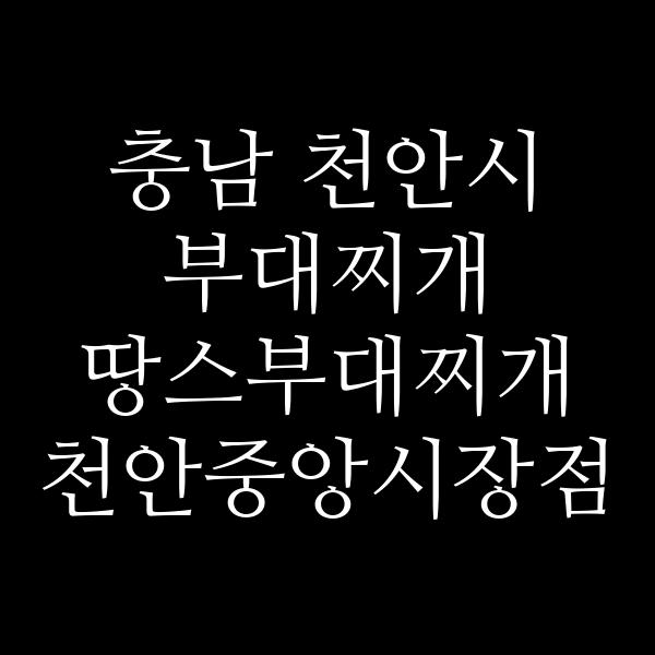 요약 정보 이미지