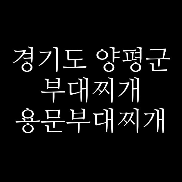 요약 정보 이미지