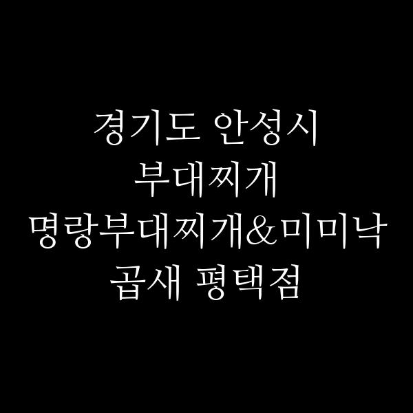 요약 정보 이미지