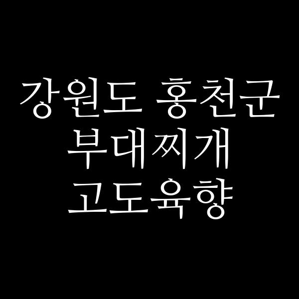 요약 정보 이미지