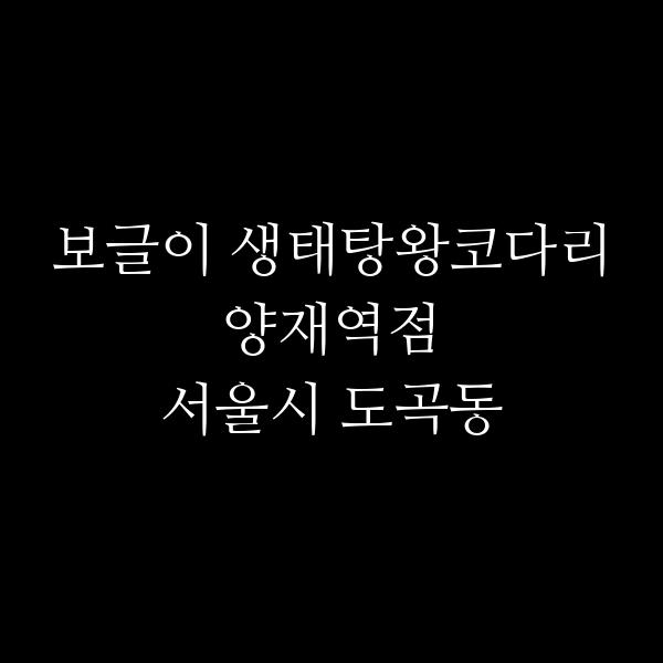요약 정보 이미지