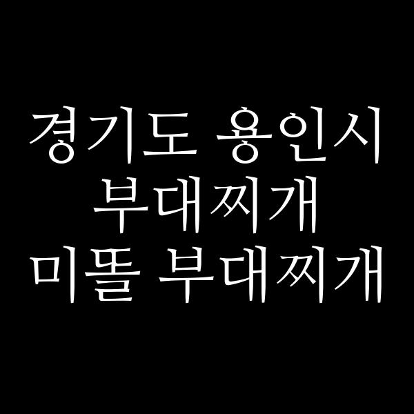 요약 정보 이미지
