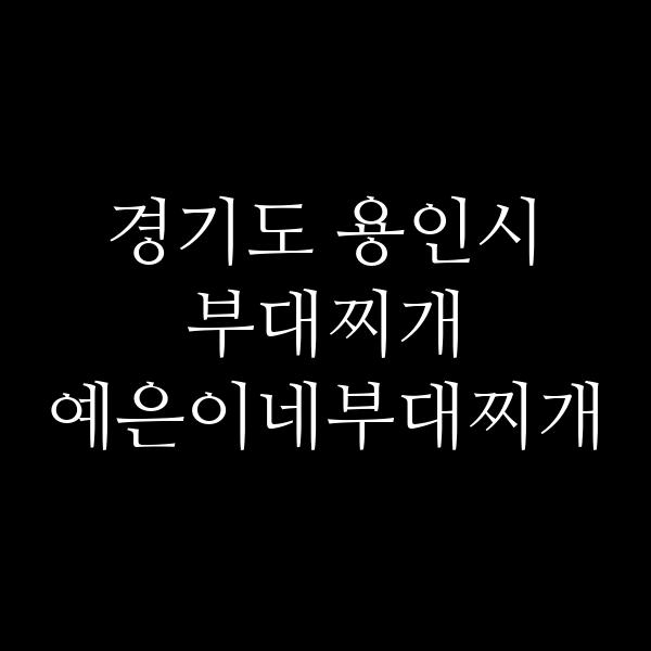 요약 정보 이미지