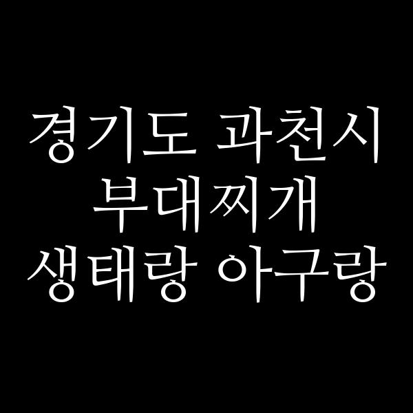 요약 정보 이미지