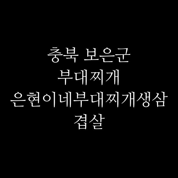 요약 정보 이미지