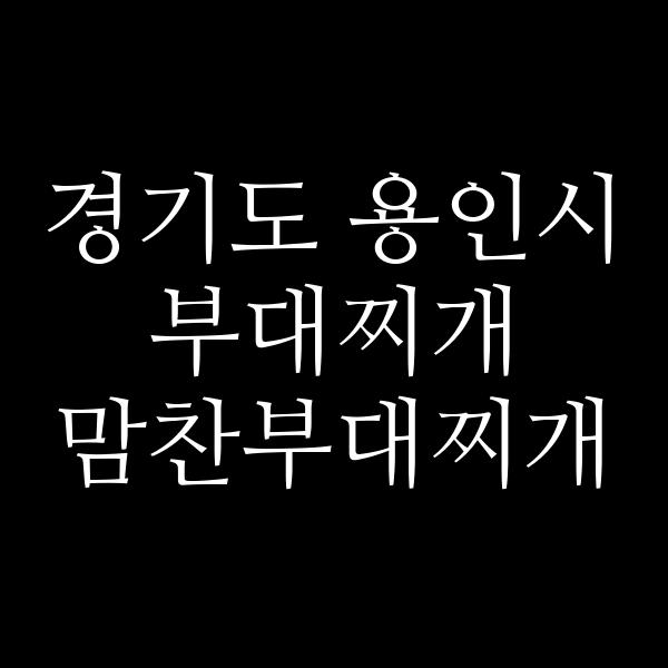 요약 정보 이미지