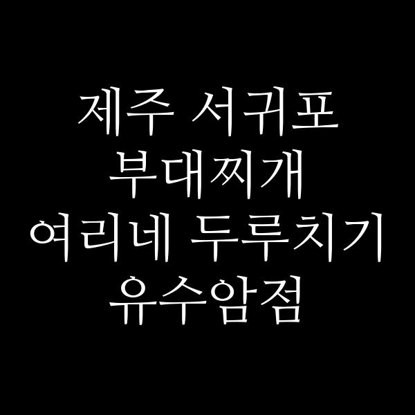 요약 정보 이미지