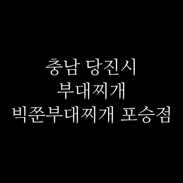 요약 정보 이미지