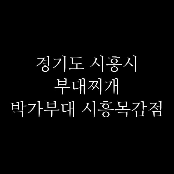 요약 정보 이미지