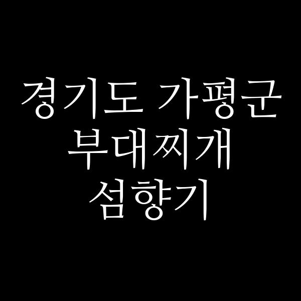 요약 정보 이미지