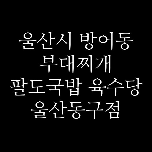 요약 정보 이미지