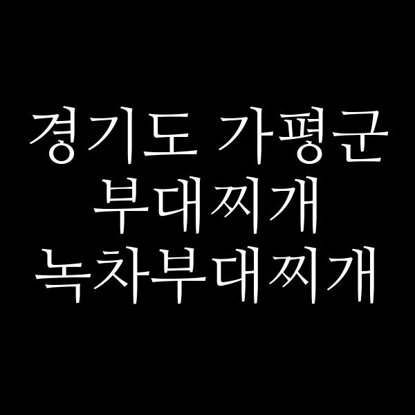 요약 정보 이미지