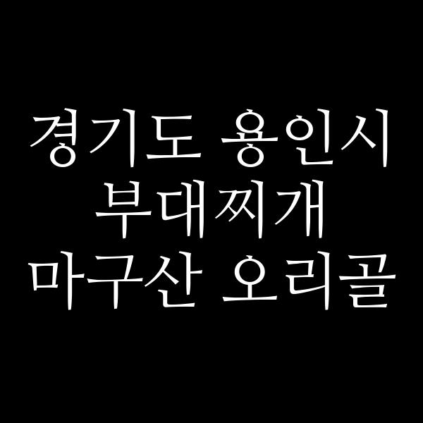요약 정보 이미지