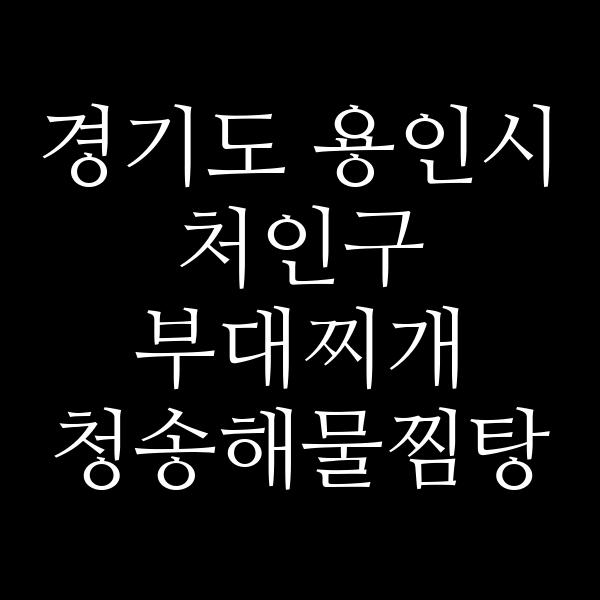 요약 정보 이미지