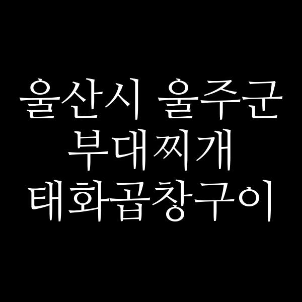 요약 정보 이미지