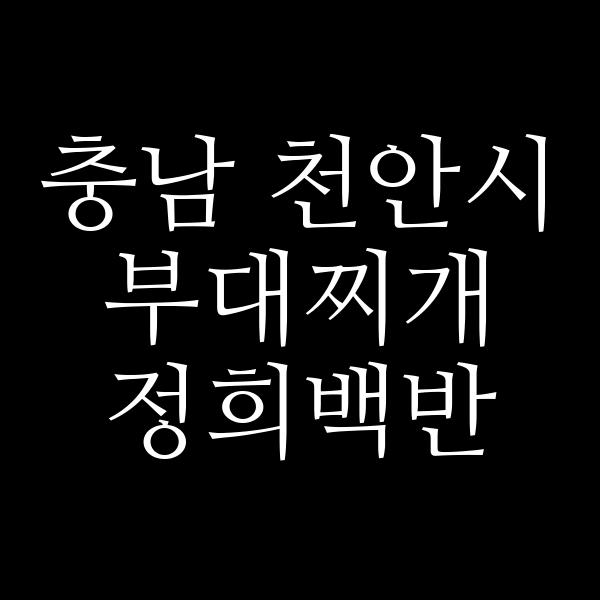 요약 정보 이미지