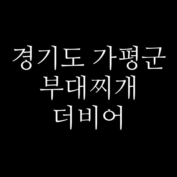 요약 정보 이미지