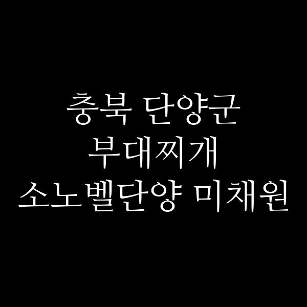 요약 정보 이미지