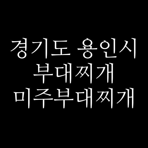 요약 정보 이미지