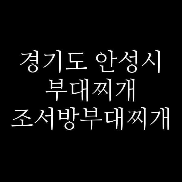 요약 정보 이미지