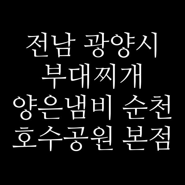 요약 정보 이미지