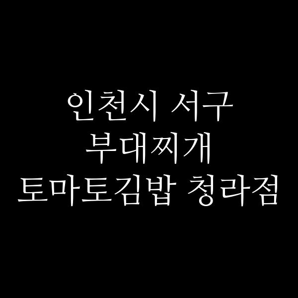 요약 정보 이미지