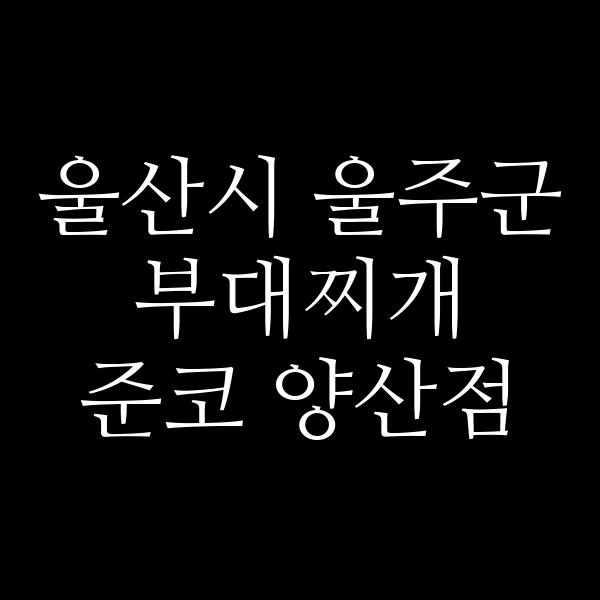 요약 정보 이미지
