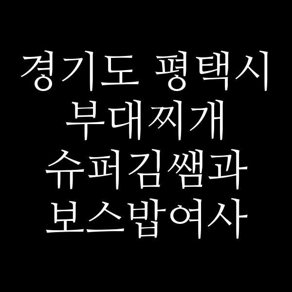 요약 정보 이미지