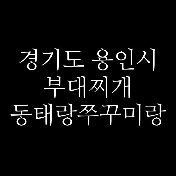 요약 정보 이미지
